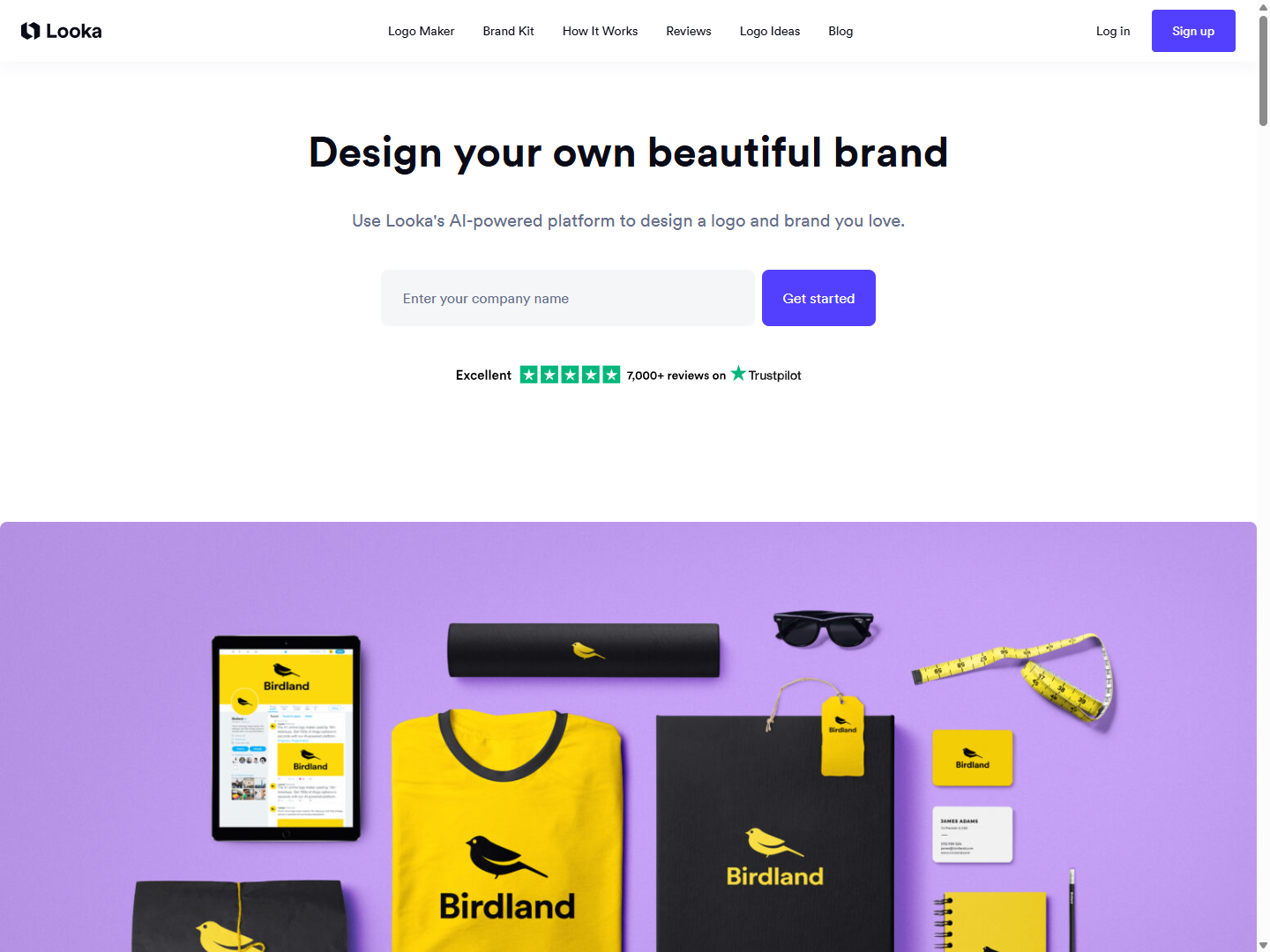 Looka homepage with company-name input and brand kit preview